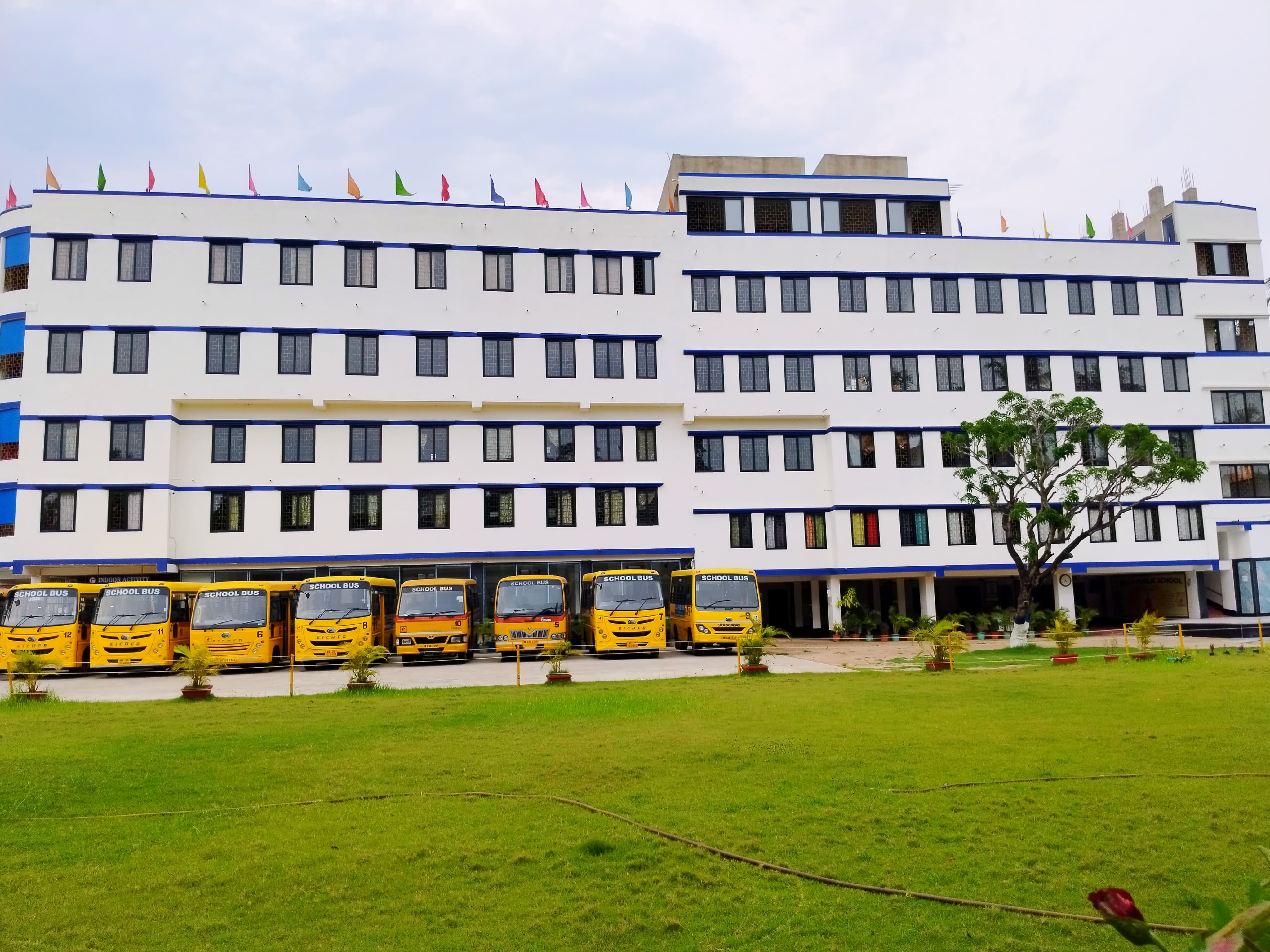 Education Background